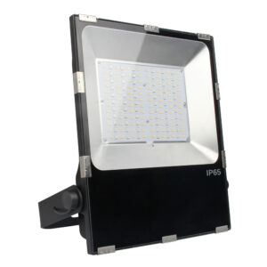 100w Outdoor Flood Light